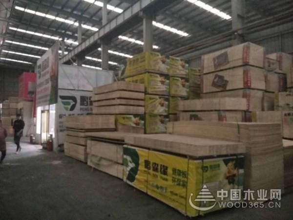 理念赢天下——鹏森缘闪耀商都