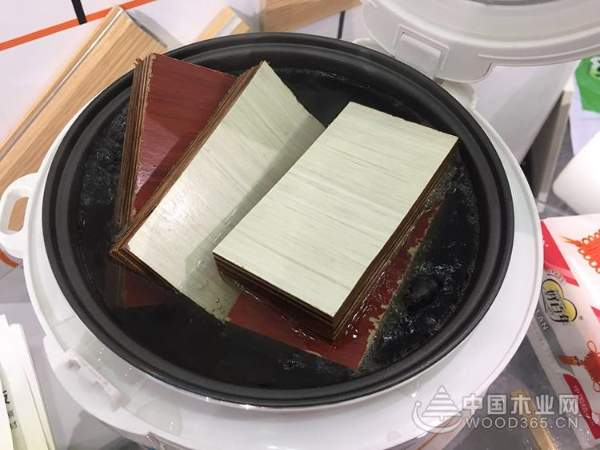鹏森缘携手湘晨，华林木业在长沙建博会大展拳脚