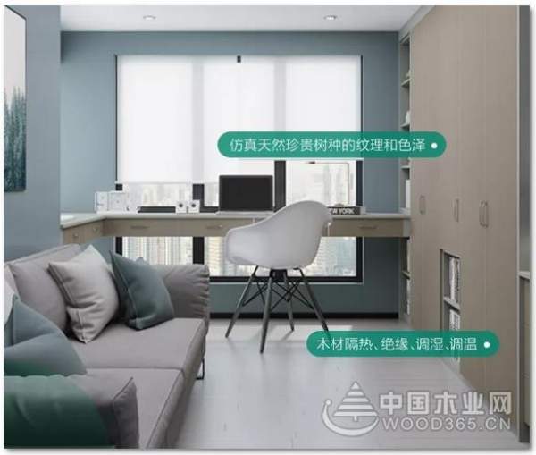 2019新品发布会|兔宝宝健康家居为你“健康造家”