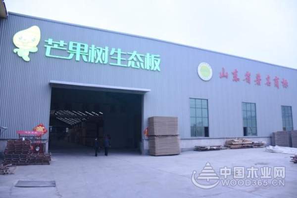 出新品 展新貌 芒果树板材品质再升级