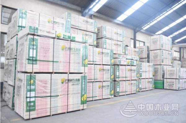 出新品 展新貌 芒果树板材品质再升级
