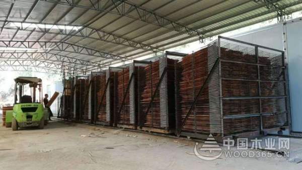 以客户为中心 以需求为导向 正立烘干新品强悍来袭