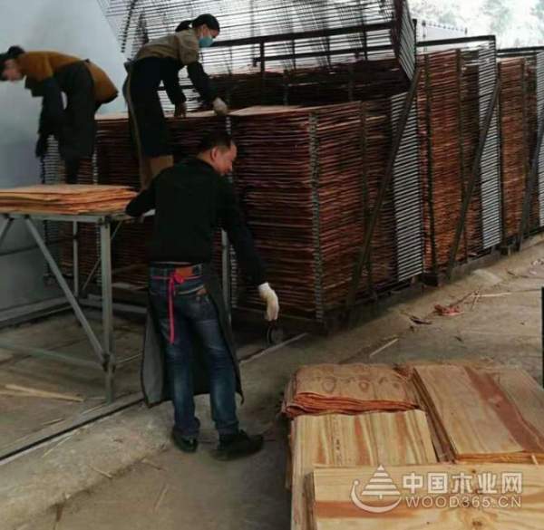 以客户为中心 以需求为导向 正立烘干新品强悍来袭