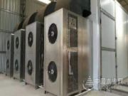 以客户为中心 以需求为导向 正立烘干新品强悍来袭