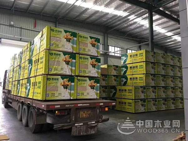 鹏森缘正式进军江西 赣州、吉安运营中心成立！