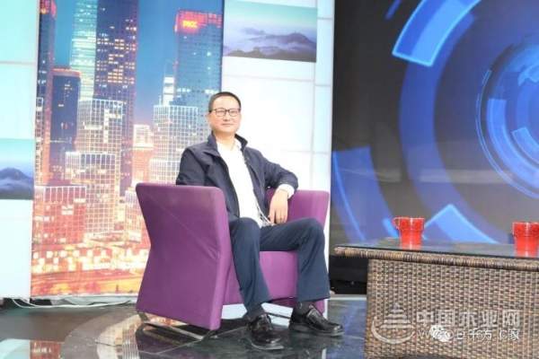 苏州佳汇木业营造有限公司，探索古老行业的新兴模式