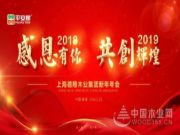 感恩有你，共创辉煌——平安树2019年年会圆满举行！