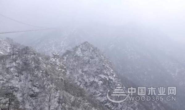 全员蒙山活动——2019群豪木业业务部团建