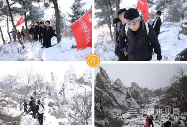 全员蒙山活动——2019群豪木业业务部团建