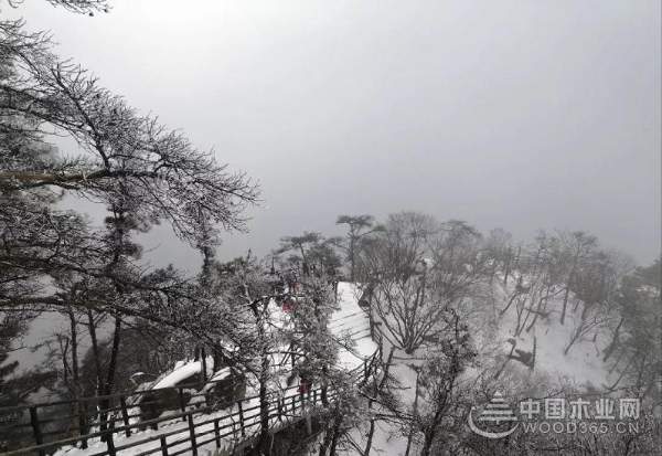 全员蒙山活动——2019群豪木业业务部团建