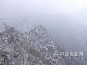 全员蒙山活动——2019群豪木业业务部团建