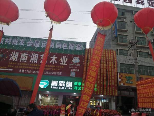 鹏森缘闪亮开幕-湖南湘艺全屋定制震撼开业
