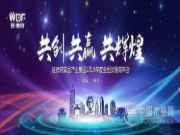共创•共赢•共辉煌——旺德府家居产业集团2019年度全国加盟商年会顺利召开
