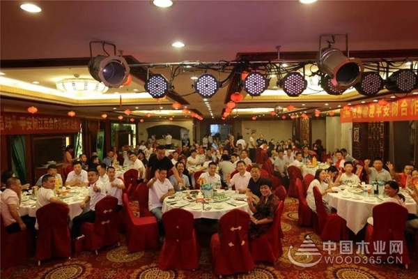 新起点·新跨越|2019，平安树依然不忘初心，仍旧砥砺前行！