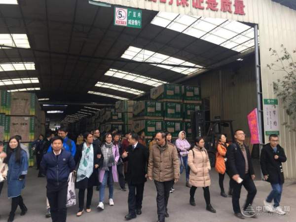 十大生态板品牌壮象董事长叶新忠在全国杉木研讨会上发言