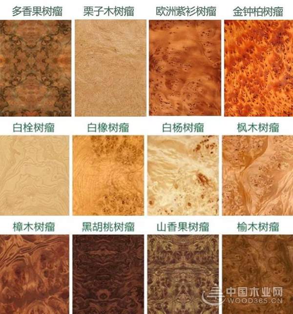 2019，普瑞特将助力装饰单板成为家居主流产品！