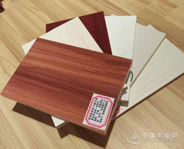 “鹏森缘”小板材，大智慧