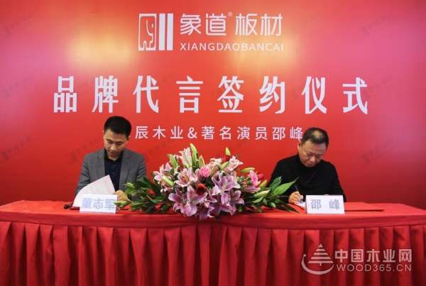 象道板材续签著名演员邵峰 塑造品牌发展新高度