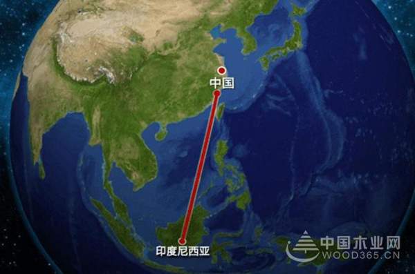 大王椰楠香木：优选进口板芯的五大理由