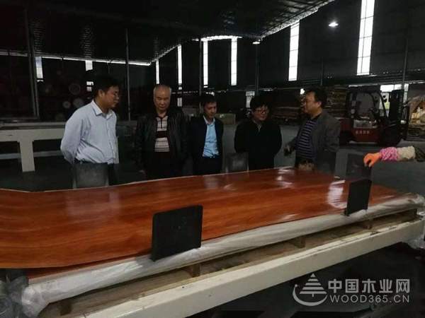 实力见证 全力以赴 广西鹏森木业多次迎接领导考察
