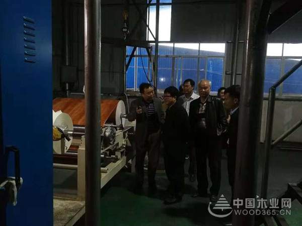 实力见证 全力以赴 广西鹏森木业多次迎接领导考察