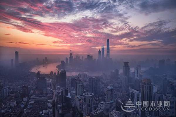 浦东开发，蓄势趁势——走近怡黄木业上海片区