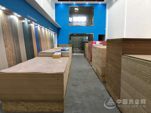 浦东开发，蓄势趁势——走近怡黄木业上海片区