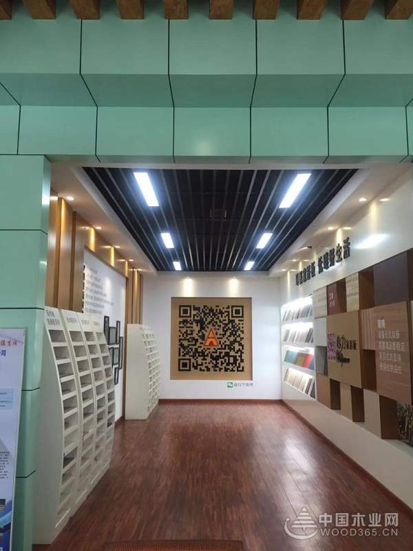 浦东开发，蓄势趁势——走近怡黄木业上海片区