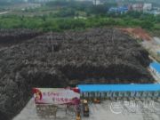 欧亚标准板材领导到访科林将推动双方关系深入发展