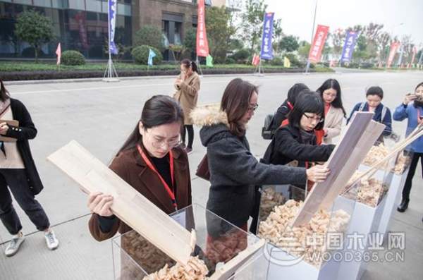 大王椰工厂开放日圆满成功，品质追寻之旅永不落幕