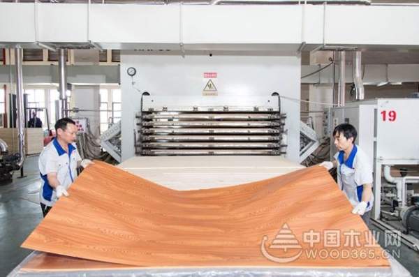 大王椰工厂开放日圆满成功，品质追寻之旅永不落幕
