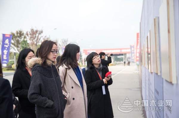大王椰工厂行揭秘，制造实力获权威媒体与消费者认可