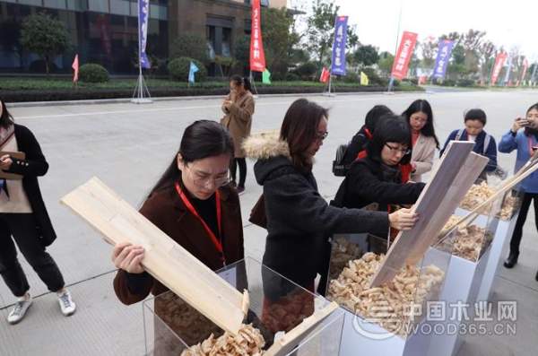 大王椰工厂行揭秘，制造实力获权威媒体与消费者认可