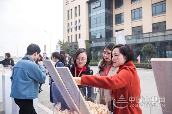 大王椰工厂行揭秘，制造实力获权威媒体与消费者认可