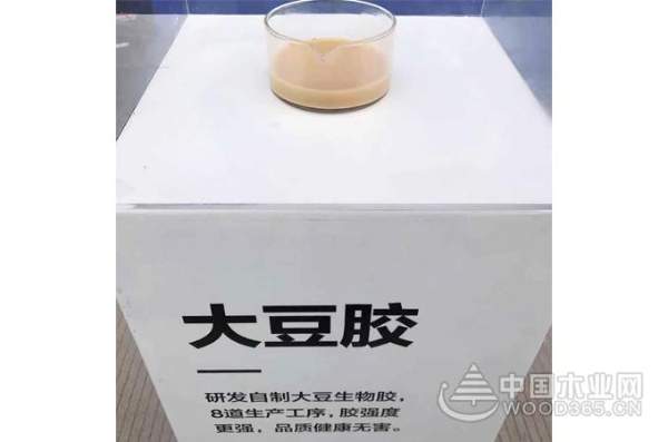 大王椰工厂行揭秘，制造实力获权威媒体与消费者认可