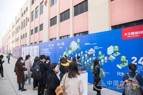 大王椰工厂行揭秘，制造实力获权威媒体与消费者认可