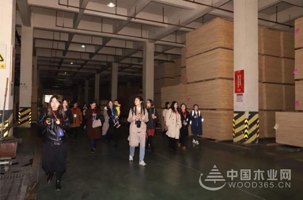 大王椰工厂行揭秘，制造实力获权威媒体与消费者认可