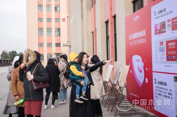 大王椰工厂行揭秘，制造实力获权威媒体与消费者认可