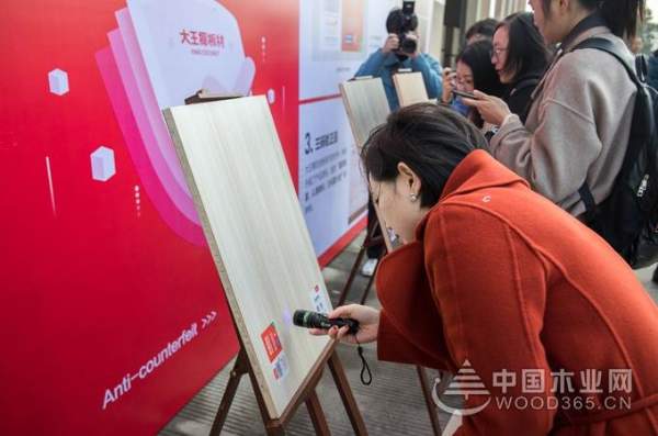 大王椰工厂行揭秘，制造实力获权威媒体与消费者认可
