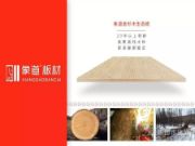 象道金杉木生态板  精湛工艺绽放品质色彩！