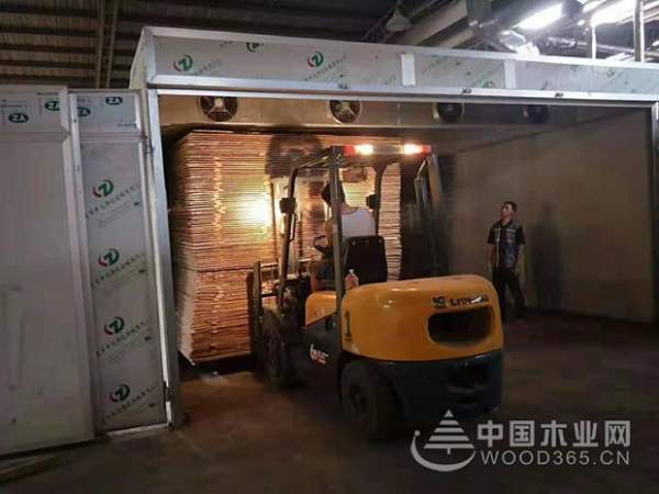 正立干燥设备：用过的都说好！