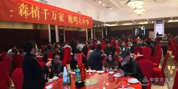 森鹿全国油木工俱乐部活动建德站圆满落幕
