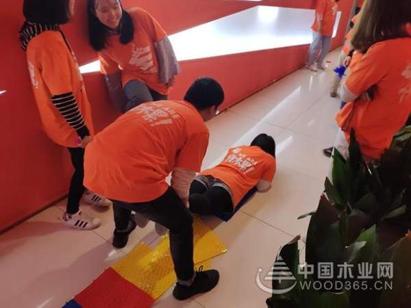 奋战双十一，兔宝宝决战巅峰夜，再战新佳绩！