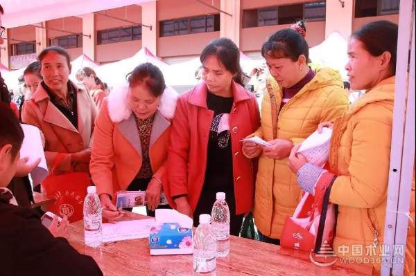 中国十大环保板材——壮象董事长为融安香杉产业代言