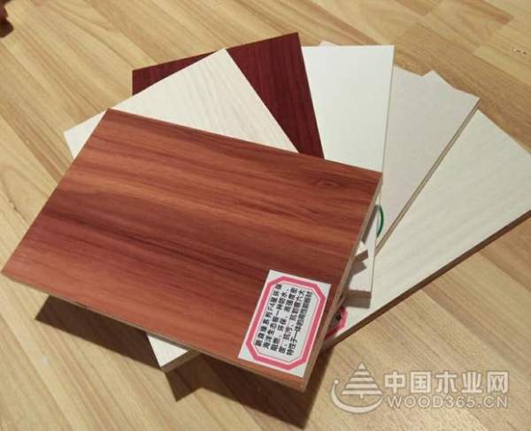 官宣 鹏森缘—全屋高端定制，定制未来