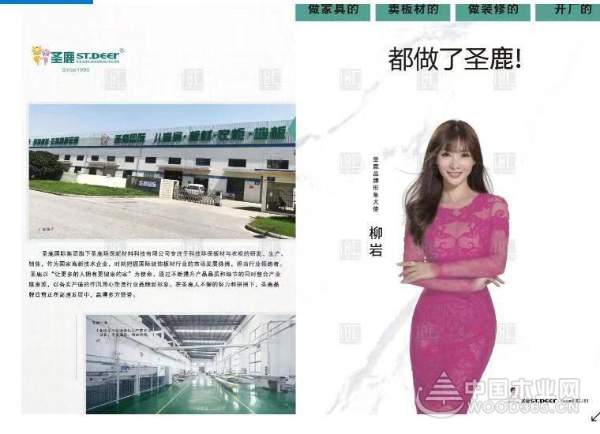 捷报频传 圣鹿国际呈现一派蓬勃发展态势
