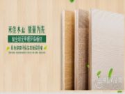 脱颖而出 禾佳木业全力以赴加快发展步伐