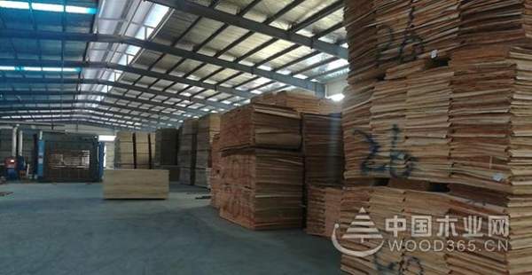 华荣木业：视品质如生命 打造优质板材