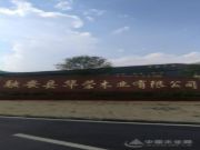 华荣木业：视品质如生命 打造优质板材