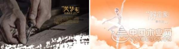热烈祝贺平安树品牌舒宜家系列“春”新品发布会圆满召开！